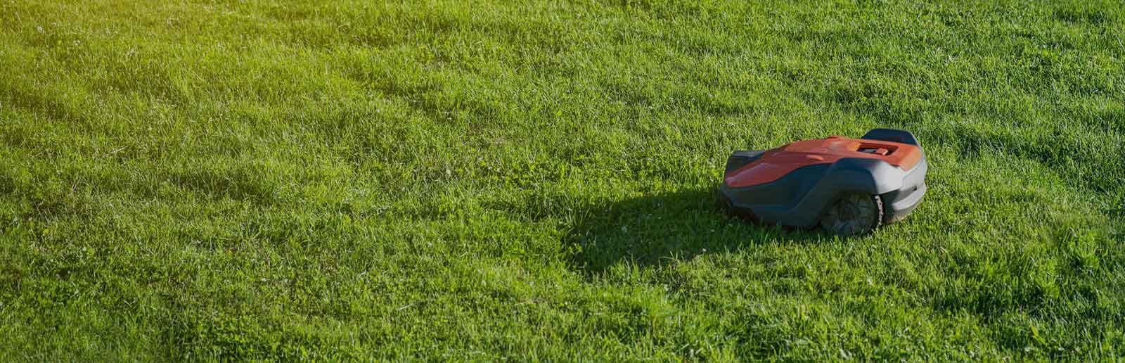 Robotic Lawn Mower (3).jpg