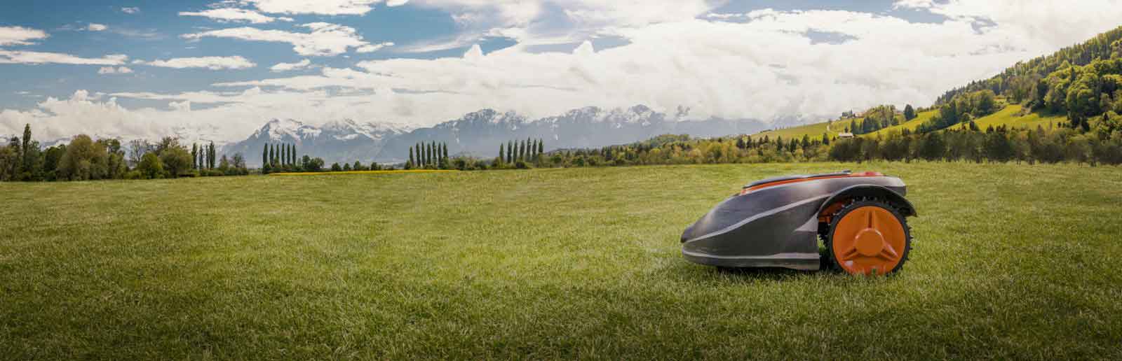 Robotic Lawn Mower.jpg