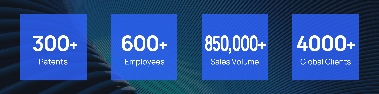 Company Profile