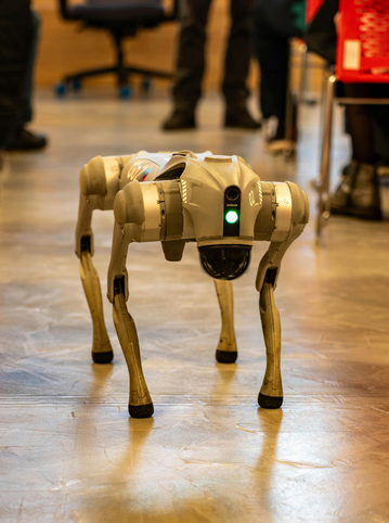 Robotic Dog